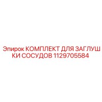 1129705584 КОМПЛЕКТ ДЛЯ ЗАГЛУШКИ СОСУДОВ Epiroc