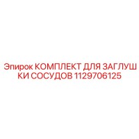 1129706125 КОМПЛЕКТ ДЛЯ ЗАГЛУШКИ СОСУДОВ Epiroc