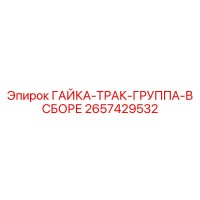 2657429532 ГАЙКА-ТРАК-ГРУППА-В СБОРЕ Epiroc