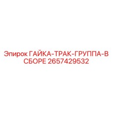 2657429532 ГАЙКА-ТРАК-ГРУППА-В СБОРЕ Epiroc