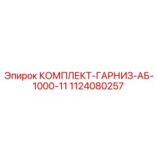 1124080257 КОМПЛЕКТ ГАРНИЗ АБ-1000-11 Epiroc