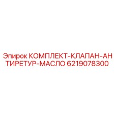 6219078300 КОМПЛЕКТ-КЛАПАН-АНТИРЕТУР-МАСЛО Epiroc