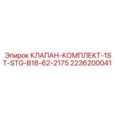 2236200041 КЛАПАН-КОМПЛЕКТ-1ST-STG-B18-62-2175 Epiroc