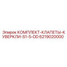 6219020000 КОМПЛЕКТ-КЛАПЕТЫ-КУВЕРКЛИ-S1-5-DD Epiroc