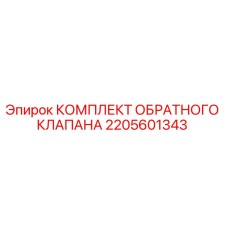 2205601343 КОМПЛЕКТ ОБРАТНОГО КЛАПАНА Epiroc