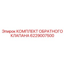 6229007500 КОМПЛЕКТ ОБРАТНОГО КЛАПАНА Epiroc