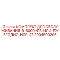 2904500206 КОМПЛЕКТ ДЛЯ ОБСЛУЖИВАНИЯ-B-8000HRS-ИЛИ-ЕЖЕГОДНО-NGP-47 (Epiroc)