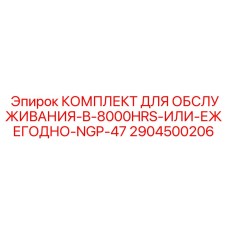 2904500206 КОМПЛЕКТ ДЛЯ ОБСЛУЖИВАНИЯ-B-8000HRS-ИЛИ-ЕЖЕГОДНО-NGP-47 (Epiroc)