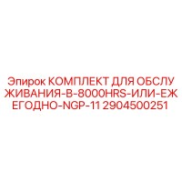 2904500251 КОМПЛЕКТ ДЛЯ ОБСЛУЖИВАНИЯ-B-8000HRS-ИЛИ-ЕЖЕГОДНО-NGP-11 Epiroc