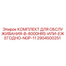 2904500251 КОМПЛЕКТ ДЛЯ ОБСЛУЖИВАНИЯ-B-8000HRS-ИЛИ-ЕЖЕГОДНО-NGP-11 Epiroc