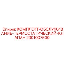 Фото комплекта обслуживания термостатического клапана Epiroc 2901007500 для буровых установок