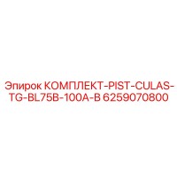 6259070800 КОМПЛЕКТ-PIST-CULAS-TG-BL75B-100A-B Epiroc