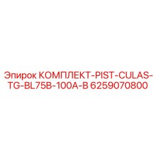 6259070800 КОМПЛЕКТ-PIST-CULAS-TG-BL75B-100A-B Epiroc