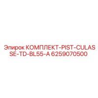 6259070500 КОМПЛЕКТ-PIST-CULASSE-TD-BL55-A Epiroc