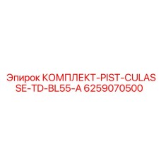 6259070500 КОМПЛЕКТ-PIST-CULASSE-TD-BL55-A Epiroc
