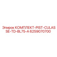 6259070700 КОМПЛЕКТ-PIST-CULASSE-TD-BL75-A Epiroc