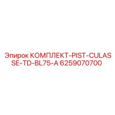 6259070700 КОМПЛЕКТ-PIST-CULASSE-TD-BL75-A Epiroc