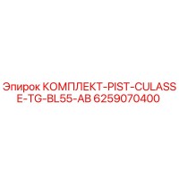 6259070400 КОМПЛЕКТ-PIST-CULASSE-TG-BL55-AB Epiroc