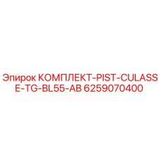6259070400 КОМПЛЕКТ-PIST-CULASSE-TG-BL55-AB Epiroc