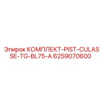 6259070600 КОМПЛЕКТ-PIST-CULASSE-TG-BL75-A Epiroc