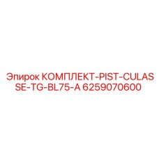 6259070600 КОМПЛЕКТ-PIST-CULASSE-TG-BL75-A Epiroc