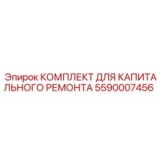5590007456 КОМПЛЕКТ ДЛЯ КАПИТАЛЬНОГО РЕМОНТА Epiroc
