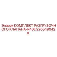 Оригинальный клапанный комплект для R40E артикул 2205490428