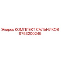 9753200245 КОМПЛЕКТ САЛЬНИКОВ Epiroc