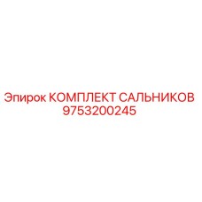 9753200245 КОМПЛЕКТ САЛЬНИКОВ Epiroc