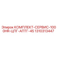 1310313447 КОМПЛЕКТ-СЕРВИС-1000HR-ЦПГ-АПТГ-45 Epiroc