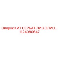 1124080647 КИТ СЕРВИСНОГО ОБСЛУЖИВАНИЯ СИСТЕМЫ СМАЗКИ - Epiroc