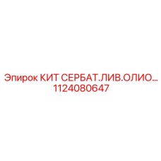 1124080647 КИТ СЕРВИСНОГО ОБСЛУЖИВАНИЯ СИСТЕМЫ СМАЗКИ - Epiroc