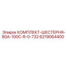 6219064400 КОМПЛЕКТ-ШЕСТЕРНЯ-80A-100C-R-0-732 Epiroc