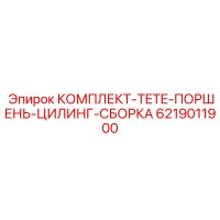 6219011900 КОМПЛЕКТ TETE ПОРШЕНЬ ЦИЛИНГ СБОРКА Epiroc