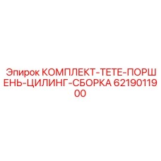 6219011900 КОМПЛЕКТ TETE ПОРШЕНЬ ЦИЛИНГ СБОРКА Epiroc