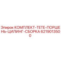 6219013500 КОМПЛЕКТ TETE ПОРШЕНЬ ЦИЛИНГ СБОРКА Epiroc