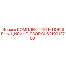 6219013700 КОМПЛЕКТ TETE ПОРШЕНЬ ЦИЛИНГ СБОРКА Epiroc