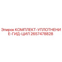 2657478828 КОМПЛЕКТ УПЛОТНЕНИЕ ГИД ЦИЛ Epiroc