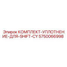 5750066998 КОМПЛЕКТ-УПЛОТНЕНИЕ-ДЛЯ-SHIFT-CY - Epiroc