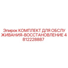 4812228887 КОМПЛЕКТ ДЛЯ ОБСЛУЖИВАНИЯ-ВОССТАНОВЛЕНИЕ Epiroc