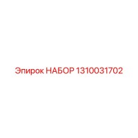 1310031702 НАБОР Epiroc