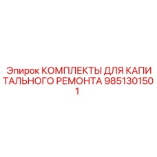 9851301501 КОМПЛЕКТЫ ДЛЯ КАПИТАЛЬНОГО РЕМОНТА Epiroc
