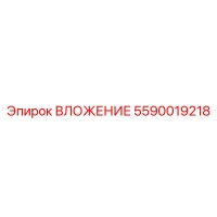 5590019218 ВЛОЖЕНИЕ Epiroc