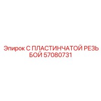 57080731 С ПЛАСТИНЧАТОЙ РЕЗЬБОЙ Epiroc