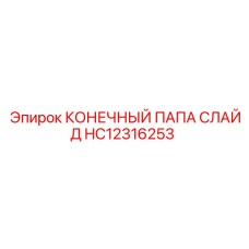 HC12316253 КОНЕЧНЫЙ ПАПА СЛАЙД Epiroc