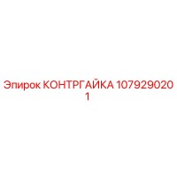1079290201 КОНТРГАЙКА Epiroc