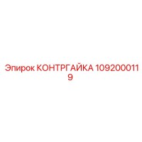 1092000119 КОНТРГАЙКА Epiroc
