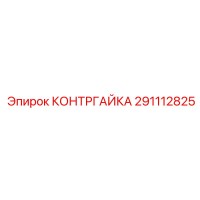 291112825 КОНТРГАЙКА Epiroc