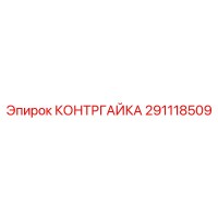 291118509 КОНТРГАЙКА Epiroc