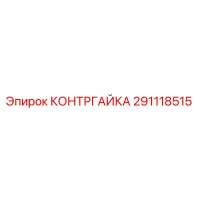 291118515 КОНТРГАЙКА Epiroc
